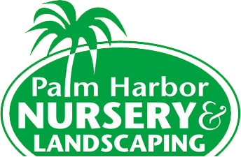 palm harbor landscaping